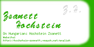 zsanett hochstein business card
